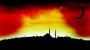 undefined Images